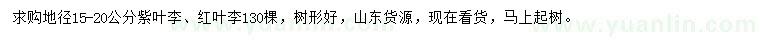 求購地徑15-20公分紫葉李、紅葉李
