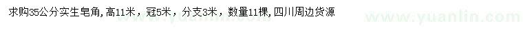求購35公分實生皂角