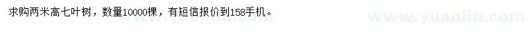 求購(gòu)高2米七葉樹(shù)