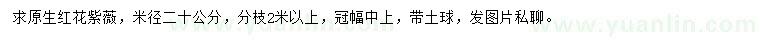 求購米徑20公分紅花紫薇
