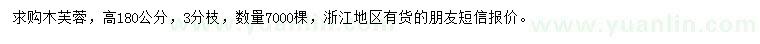 求購高180公分木芙蓉