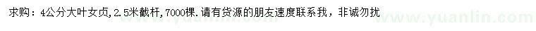 求購4公分大葉女貞