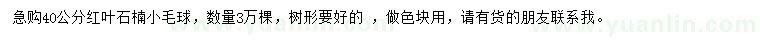 求購40公分紅葉石楠