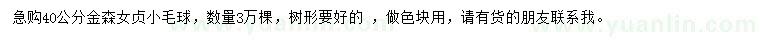 求購(gòu)40公分金森女貞小毛球