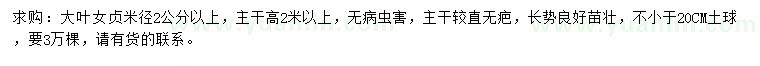 求購米徑2公分以上大葉女貞