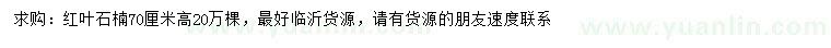 求購(gòu)高70公分紅葉石楠