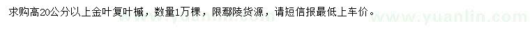 求購(gòu)高20公分以上金葉復(fù)葉槭