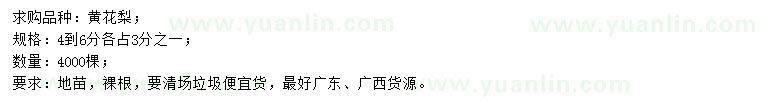求購4-6公分黃花梨