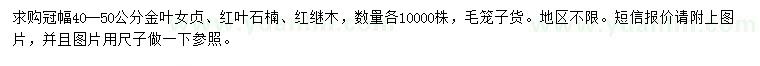 求購金葉女貞、紅葉石楠、紅繼木