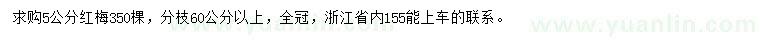 求購5公分紅梅