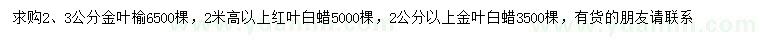 求購金葉榆、紅葉白蠟、金葉白蠟