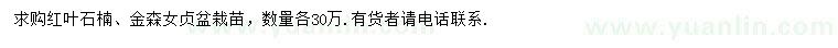 求購(gòu)紅葉石楠、金森女貞盆栽苗