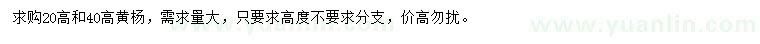 求購高20、40公分黃楊