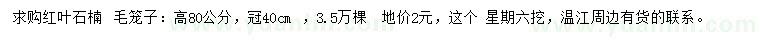 求購高80公分紅葉石楠