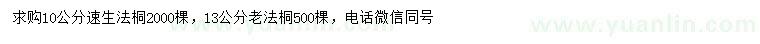 求購10公分速生法桐、13公分老法桐