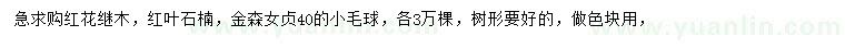 求購(gòu)紅花繼木、紅葉石楠、金森女貞