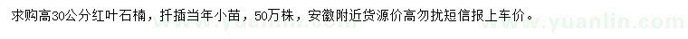 求購高30公分紅葉石楠