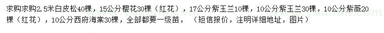 求購白皮松、櫻花、紫玉蘭等