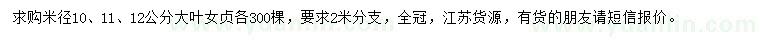求購(gòu)米徑10、11、12公分大葉女貞