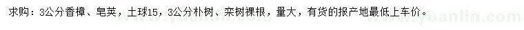 求購香樟、皂莢、樸樹等