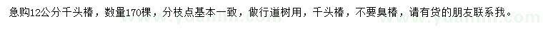 求購12公分千頭椿