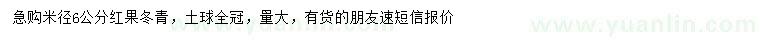 求購米徑6公分紅果冬青