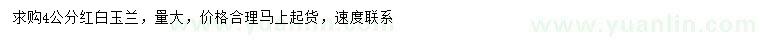 求購4公分紅白玉蘭