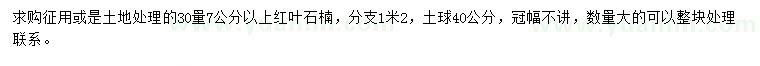 求購30量7公分以上紅葉石楠