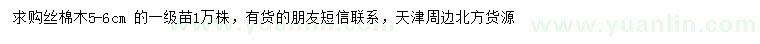 求購5-6公分絲棉木
