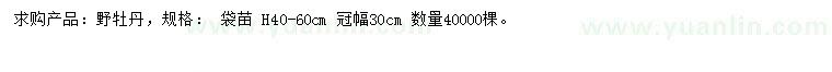 求購高40-60公分野牡丹