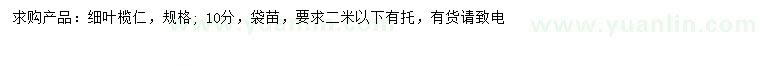 求購(gòu)10公分細(xì)葉欖仁