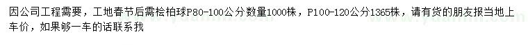 求購(gòu)冠80-100、100-120公分檜柏球