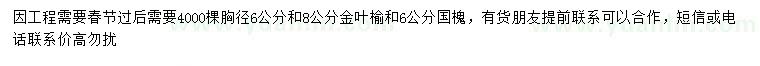 求購胸徑6公分金葉榆、國槐