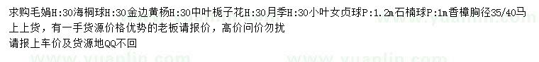 求購(gòu)毛娟、海桐球、金邊黃楊等