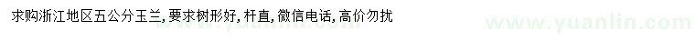 求購5公分玉蘭