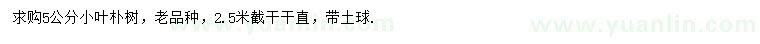 求購(gòu)5公分小葉樸樹