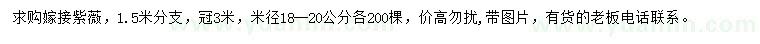 求購米徑18-20公分嫁接紫薇