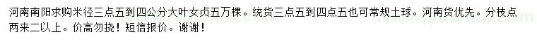 求購米徑3.5-4公分大葉女貞