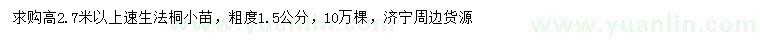 求購(gòu)高2.7米以上速生法桐