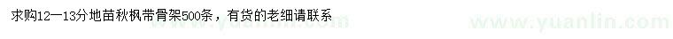 求購12-13公分秋楓