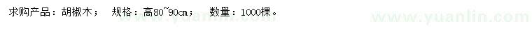 求購高80-90公分胡椒木