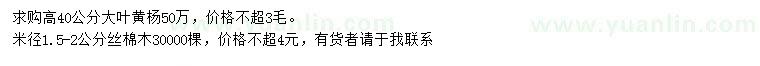 求購高40公分大葉黃楊、米徑1.5-2公分絲棉木