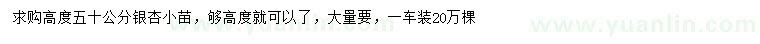 求購高50公分銀杏