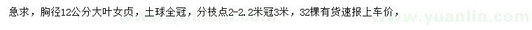 求購胸徑12公分大葉女貞
