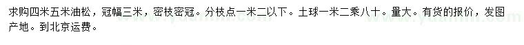 求購(gòu)4、5米油松