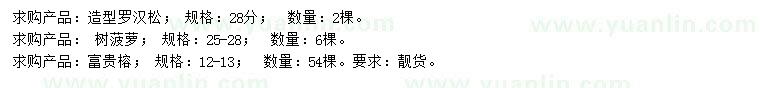 求購(gòu)造型羅漢松、樹菠蘿、富貴榕