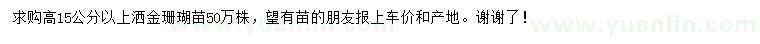 求購高15公分以上灑金珊瑚