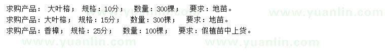 求購10、15公分大葉榕、25公分香樟