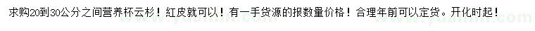 求購20-30公分云杉