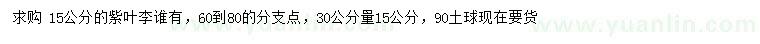 求購30公分量15公分紫葉李